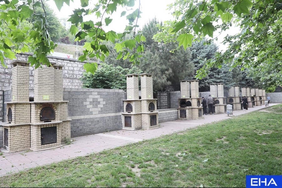 170524_mangal_3_
