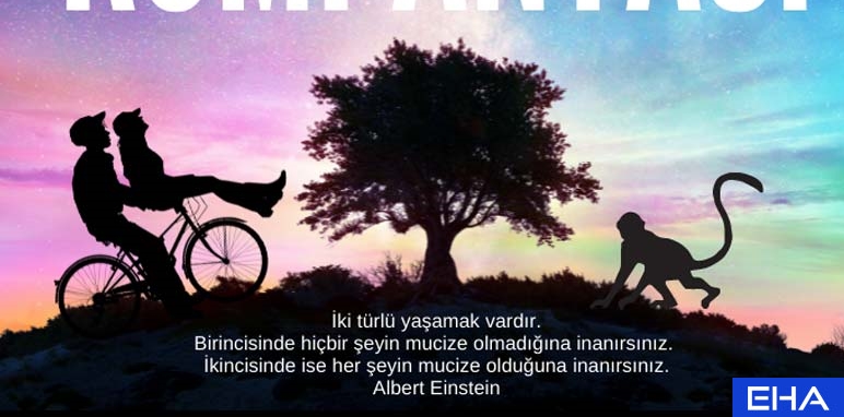 1715673837_Einstein_Kumpanyas__